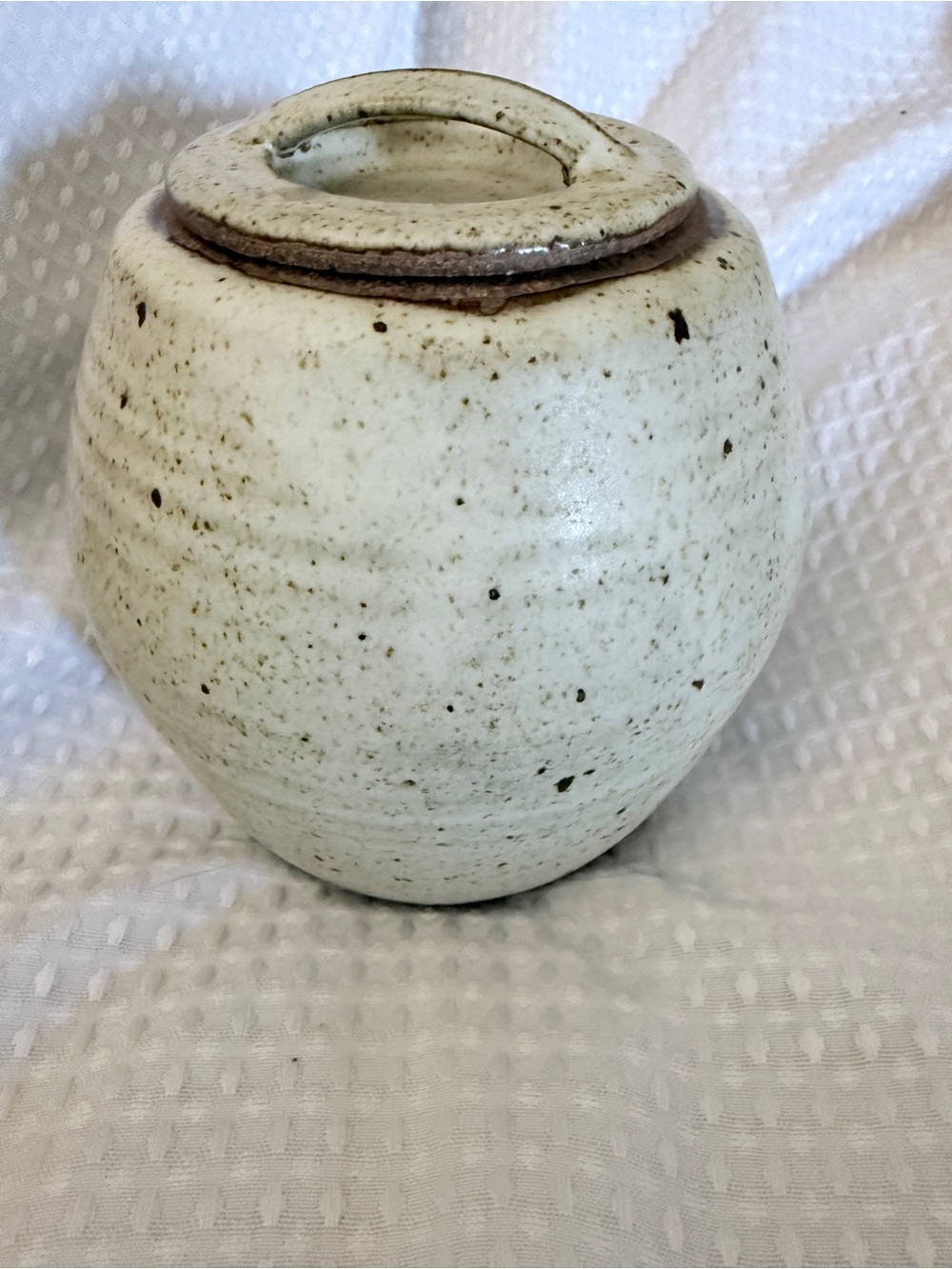 Vintage Hand Thrown Studio Pottery Lidded Jar Speckled Signed Jonnston 9”